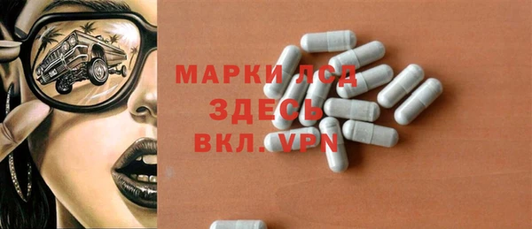 МДПВ Бородино