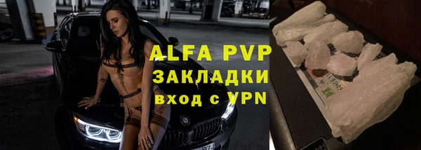 МДПВ Бородино