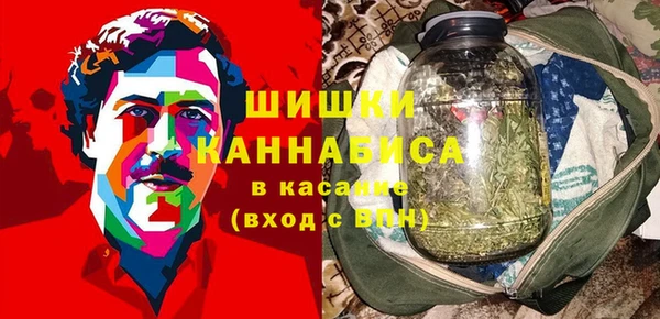 МДПВ Бородино