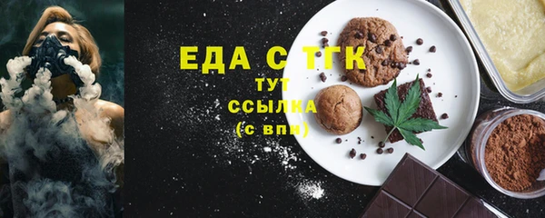МДПВ Бородино